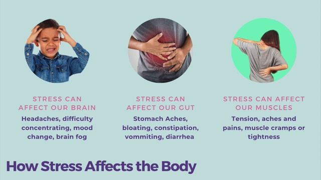 Stress Elementary смотреть онлайн