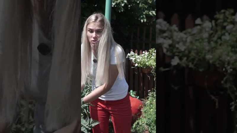 Чем подкормить томаты Садовые лайфхаки