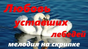 Мелодия "Любовь уставших лебедей" на скрипке в исполнении Александра Вишняка.