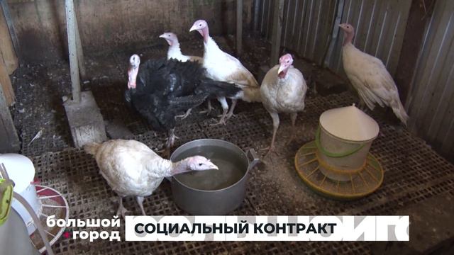 СОЦИАЛЬНЫЙ КОНТРАКТ. Большой город 21/08/2024
