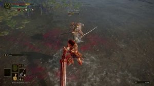 Elden Ring | Двуручник | Вторжения
