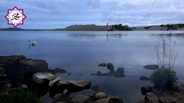 Леид - «Аллах желает вам облегчения, ведь человек создан слабым» (Сура «Женщины», аят 28). смотреть онлайн