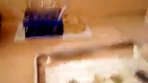 Черный и Бездымный порох.