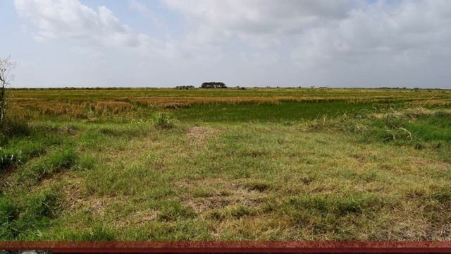 00 Gillette Rd Palacios, Texas 77465 | Melinda Moudy | Real Estate Marketing смотреть онлайн