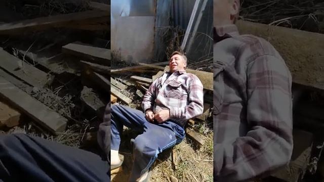 Белая берёза,,,,, смотреть онлайн