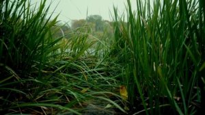 Астажи есе юраду видеоклип.mp4