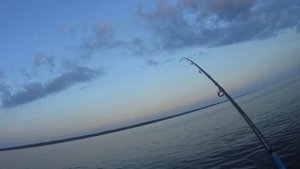 рыбалка на Камском водохранилище 2022