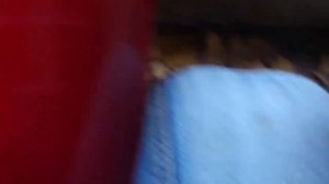 Бесплатный Миниатюрный манометр давления на 25 Bar с просроченных огнетушителей