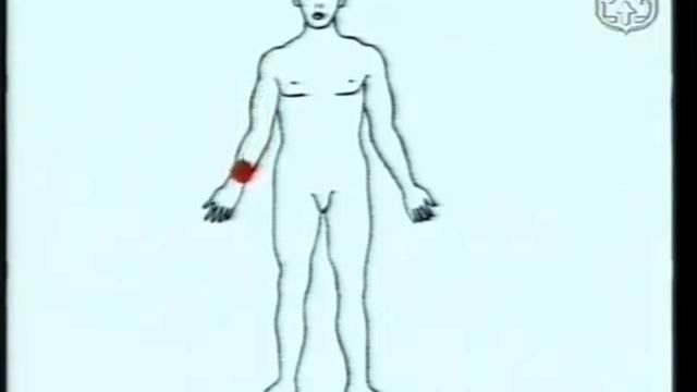 Энергетика и психотехника воина  Часть 1 11 смотреть онлайн