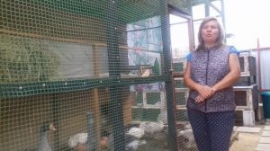 Муларды  разведение - мой пробный проект