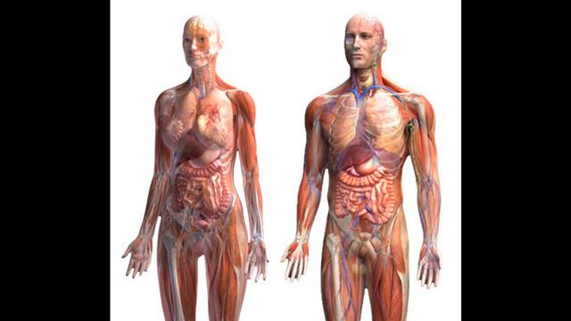 19. ЕВАНГЕЛИЕ мира от ЕССЕЕВ (ВнутренностиАлтарь) смотреть онлайн