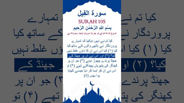 Surah 105 Al-Fil Urdu Translation | Surah Al Feel Urdu Translation #quran