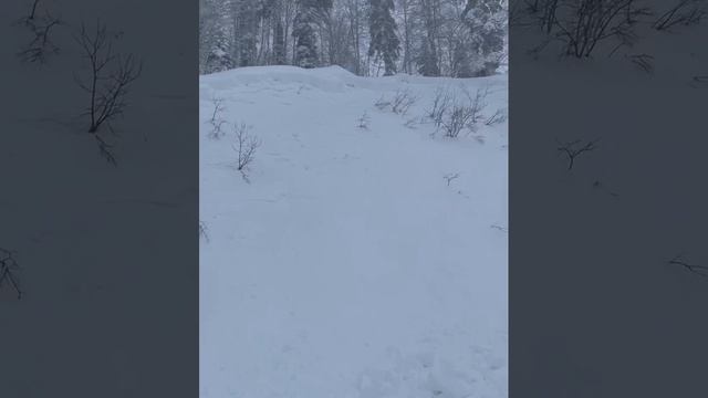 В горнолыжном центре "Лаура" в Сочи сошла лавина. Под снегом оказались 6 человек