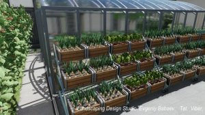 Ландшафтный дизайнер. Евгений Бабаев.