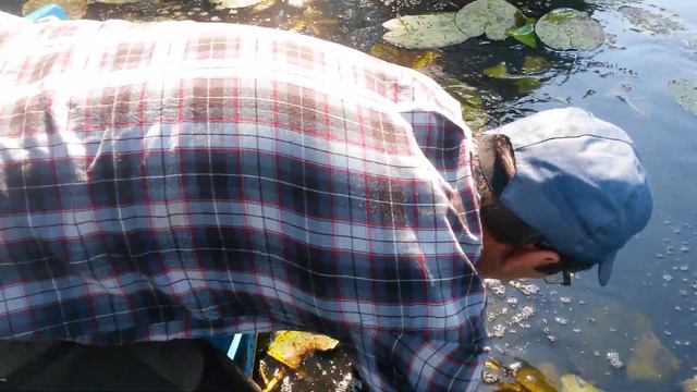 Здоровый был. Ушёл гад... смотреть онлайн