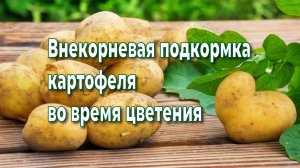 Чем подкормить картофель во время цветения.