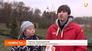 В Уфе прошла акция «Солнечные кедры» (31.10.2016)