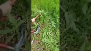 28 мая 2020 г. Садовые косы складные