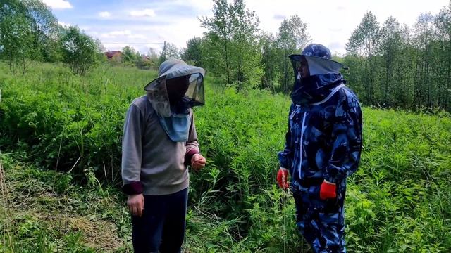 Про жизнь пчёл смотреть онлайн