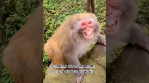 Девочки скажите пожалуйста что дали задом?