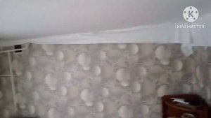 Натяжной потолок из Wlidberries своими руками (первый раз натягивают).