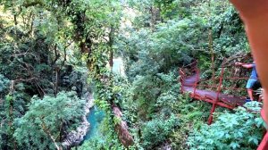 Тисо-самшитовая роща Сочи. Лучшие достопримечательности Сочи и Адлера. ХОСТА 2021