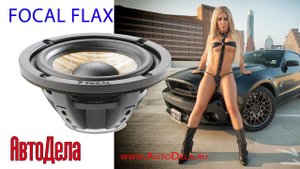 Подробно о сабвуфере Focal Flax