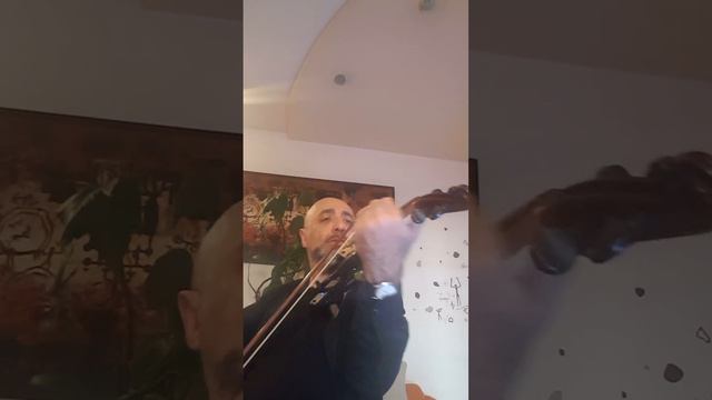 Arsen Andriasyan - Dimash - Любовь уставших лебедей (Cover by violin) +37491202861 смотреть онлайн