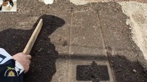 Как сажать семена моркови в гранулах весной в открытый грунт