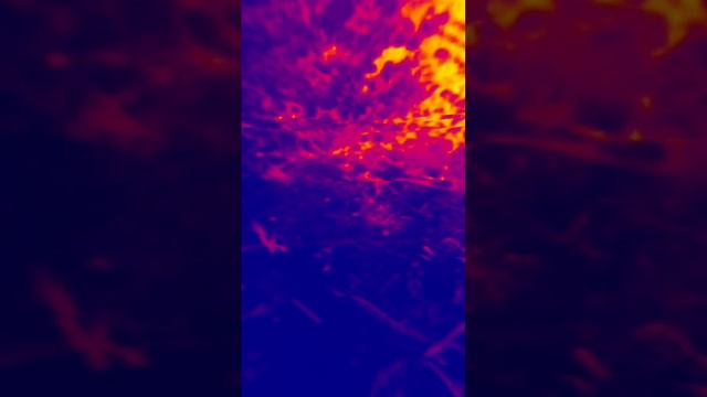 Burning Biosphere #opz #synth #teenageengineering #synthesizer #dungeonsynth #music #sample #40days