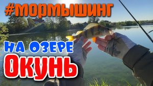 #39 Вечерний #мормышинг на озере | Окунь на разные приманки