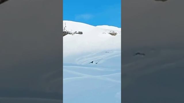 Вальтурнанш. Ради фоточки на что не пойдешь (с)