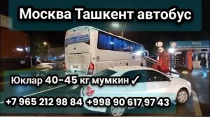 Москва Ташкент автобус прямой рейс #moskva #tashkent #avtobus #primoy #pryamoy #reys #2023®️ #short
