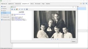 Основные возможности программы Древо Жизни и планы на будущее