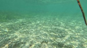 под водой у острова Ахлестышева.