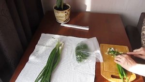 Как заморозить зеленый лук на зиму - просто, быстро, удобно