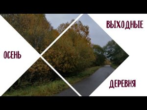 Деревня. Снимать некогда - работали все дни.