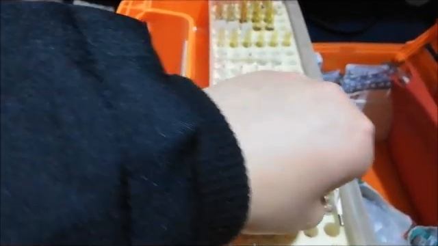 Укладка скорой медицинской помощи, что в ней?(желтый чемоданчик)