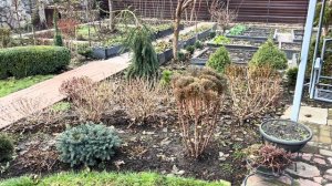 КОГДА ХОЧЕШЬ МАЛОУХОДНЫЙ САД НА НЕБОЛЬШОМ УЧАСТКЕ: ИСТОРИИ АГРЕССИВНЫХ РАСТЕНИЙ НАШЕГО САДА!