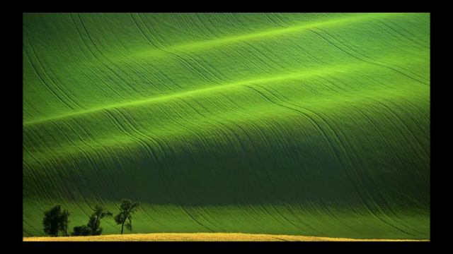 Alan Watts | How To See Through The Game | The Secret To Life | Happiness смотреть онлайн