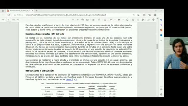 Artículo Científico_Morfoanatomía del tallo de tres especies del género Passiflora L. Passifloracea смотреть онлайн