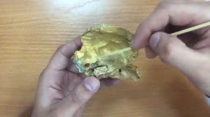 Височная кость .Анатомия