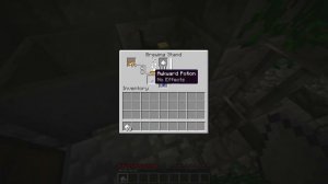 The UNKNOWN Story of Minecrafts Potions...