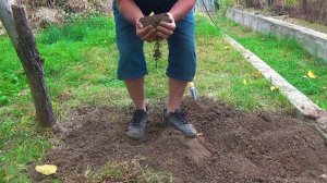 13 Ну надо же что я выкопал (2).mp4