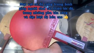 Mặt vợt Xiom Vega X