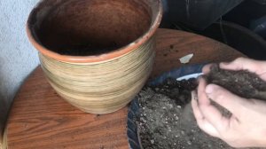 Алоэ Вера.Пересадка большого Алоэ. Размножение Алоэ детками.