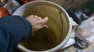 Масло Манол 10w60 и Лукойл люкс 10w40 после нагрева до примерно 90гр