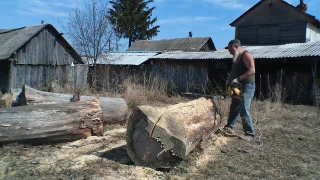 Как распилить огромное бревно для изготовления огромного стола. смотреть онлайн