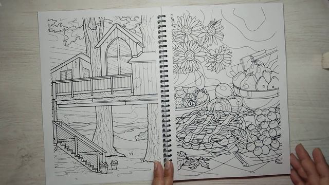 Обзор раскраски ,,Лайфстайл 6,,