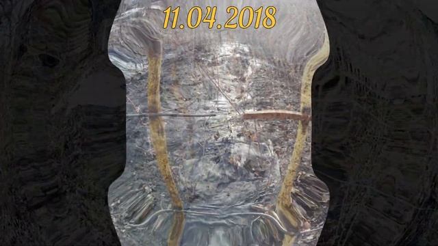 Шпалера для малины. Выращивание малины под чёрным агроволокном смотреть онлайн